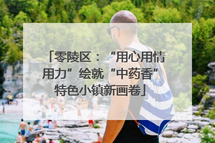 零陵区：“用心用情用力”绘就“中药香”特色小镇新画卷