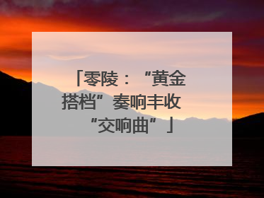 零陵：“黄金搭档”奏响丰收“交响曲”