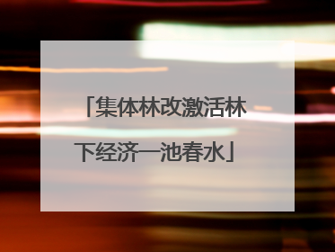 集体林改激活林下经济一池春水