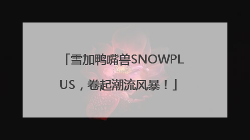 雪加鸭嘴兽SNOWPLUS，卷起潮流风暴！