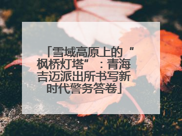 雪域高原上的“枫桥灯塔”：青海吉迈派出所书写新时代警务答卷