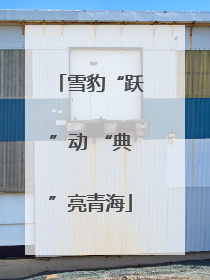 雪豹“跃”动 “典”亮青海