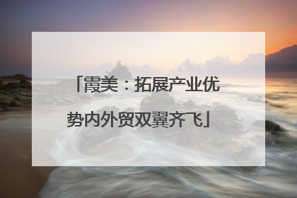 霞美：拓展产业优势内外贸双翼齐飞