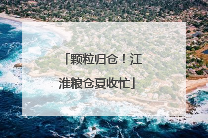 颗粒归仓！江淮粮仓夏收忙
