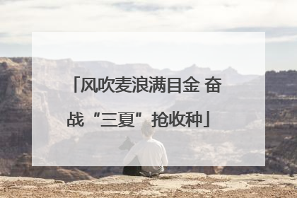 风吹麦浪满目金 奋战“三夏”抢收种