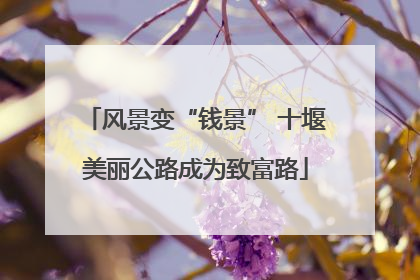 风景变“钱景” 十堰美丽公路成为致富路