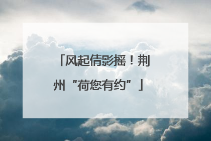 风起倩影摇！荆州“荷您有约”