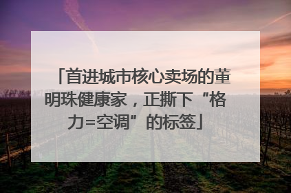 首进城市核心卖场的董明珠健康家，正撕下“格力=空调”的标签
