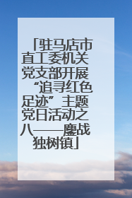 驻马店市直工委机关党支部开展“追寻红色足迹”主题党日活动之八——鏖战独树镇