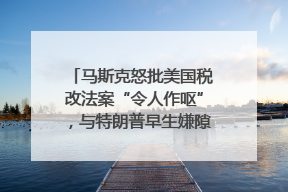 马斯克怒批美国税改法案“令人作呕”，与特朗普早生嫌隙？｜国际识局