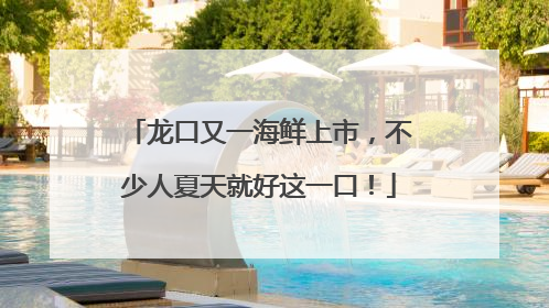 龙口又一海鲜上市，不少人夏天就好这一口！