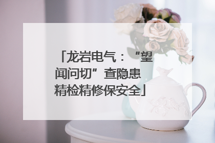 龙岩电气：“望闻问切”查隐患 精检精修保安全
