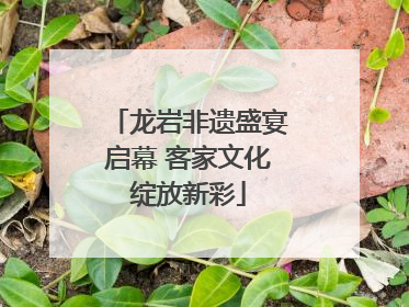 龙岩非遗盛宴启幕 客家文化绽放新彩