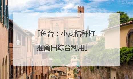 鱼台：小麦秸秆打捆离田综合利用