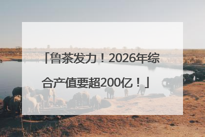鲁茶发力！2026年综合产值要超200亿！
