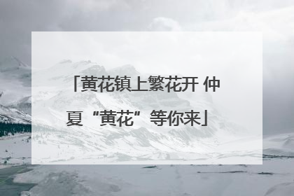 黄花镇上繁花开 仲夏“黄花”等你来
