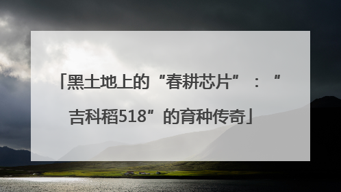 黑土地上的“春耕芯片”：“吉科稻518”的育种传奇