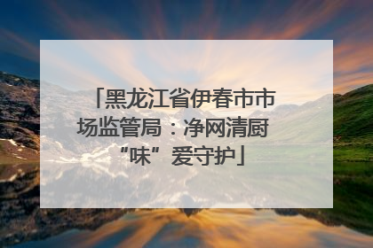 黑龙江省伊春市市场监管局：净网清厨 “味”爱守护