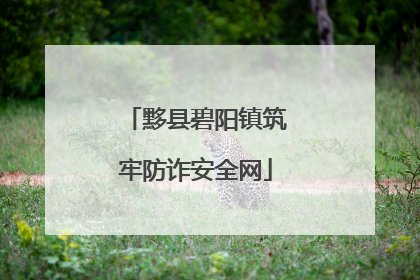 黟县碧阳镇筑牢防诈安全网