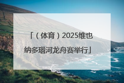 （体育）2025维也纳多瑙河龙舟赛举行