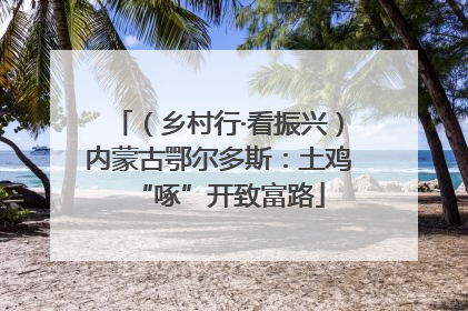 （乡村行·看振兴）内蒙古鄂尔多斯：土鸡“啄”开致富路