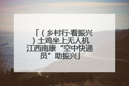 （乡村行·看振兴）土鸡坐上无人机 江西南康“空中快递员”助振兴