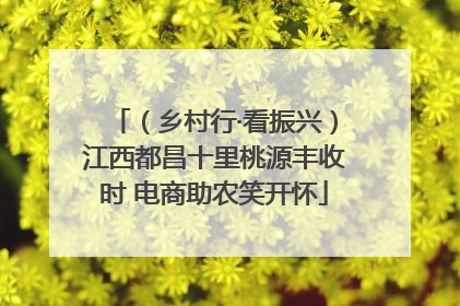 （乡村行·看振兴）江西都昌十里桃源丰收时 电商助农笑开怀