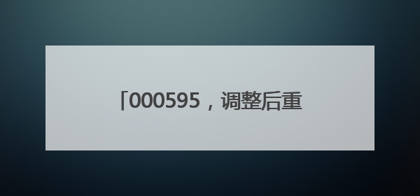 000595，调整后重大资产重组方案公布！