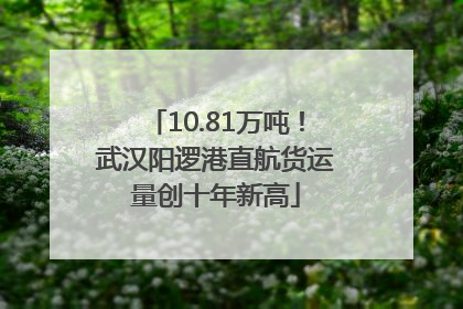 10.81万吨！武汉阳逻港直航货运量创十年新高