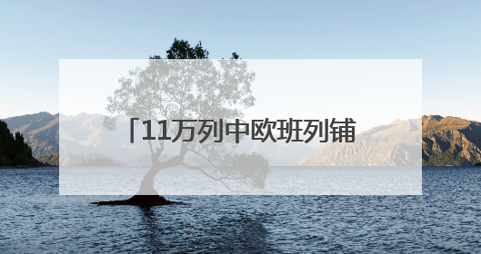 11万列中欧班列铺就亚欧“钢铁丝路”