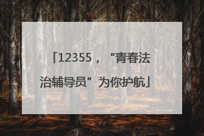 12355，“青春法治辅导员”为你护航