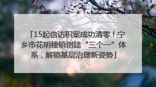 15起信访积案成功清零！宁乡市花明楼镇创建“三个一”体系，解锁基层治理新姿势