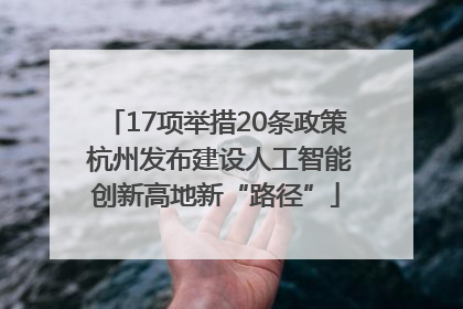 17项举措20条政策 杭州发布建设人工智能创新高地新“路径”