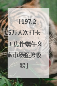 197.25万人次打卡！焦作端午文旅市场强势吸粉