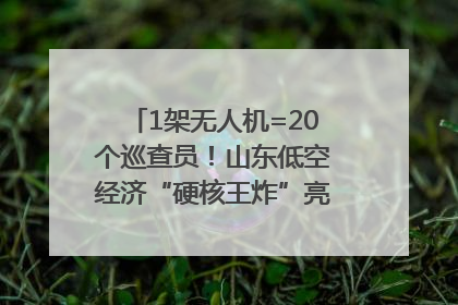 1架无人机=20个巡查员！山东低空经济“硬核王炸”亮相青岛，下一个万亿赛道藏在这里