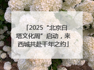 2025“北京白塔文化周”启动，来西城共赴千年之约
