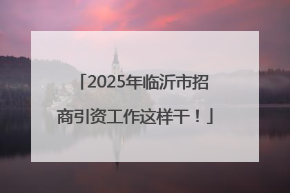 2025年临沂市招商引资工作这样干！