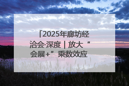 2025年廊坊经洽会·深度｜放大“会展+”乘数效应 打造消费新场景