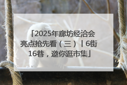 2025年廊坊经洽会亮点抢先看（三）丨6街16巷，邀你逛市集