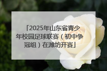 2025年山东省青少年校园足球联赛（初中争冠组）在潍坊开赛