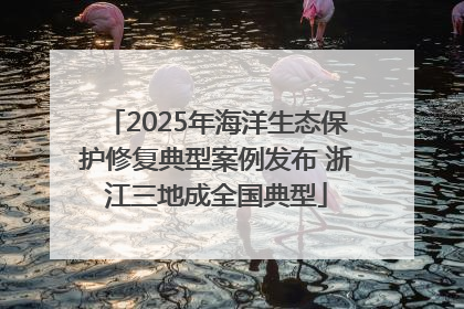 2025年海洋生态保护修复典型案例发布 浙江三地成全国典型