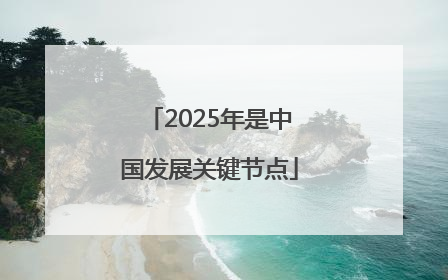 2025年是中国发展关键节点