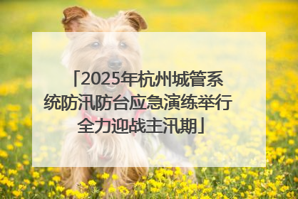 2025年杭州城管系统防汛防台应急演练举行 全力迎战主汛期