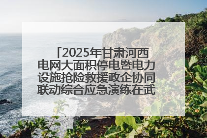 2025年甘肃河西电网大面积停电暨电力设施抢险救援政企协同联动综合应急演练在武威成功举行