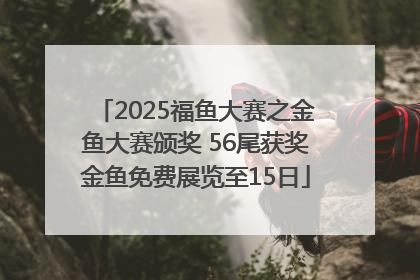 2025福鱼大赛之金鱼大赛颁奖 56尾获奖金鱼免费展览至15日