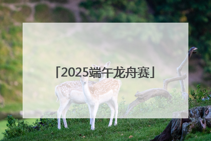 2025端午龙舟赛