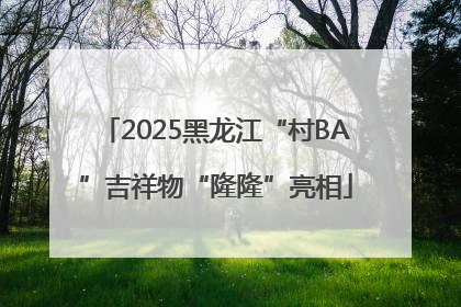 2025黑龙江“村BA”吉祥物“隆隆”亮相