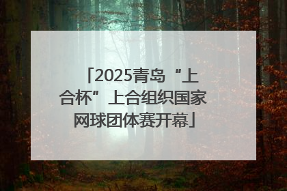 2025青岛“上合杯”上合组织国家网球团体赛开幕
