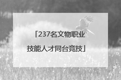 237名文物职业技能人才同台竞技