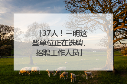 37人！三明这些单位正在选聘、招聘工作人员